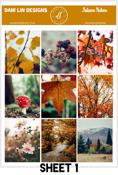 Autumn Nature Sticker Kit